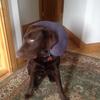Profile Picture of keatingruby (@@keatingruby) on Tiktok