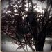 Profile Picture of Alexander Caruso (@alexandercaruso) on Pinterest