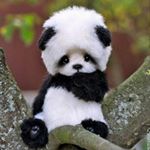 Profile Picture of Brian Alexander (@brian.a.w06) on Instagram