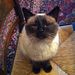 Profile Picture of Fiona Creedon (@paulcreedon) on Pinterest