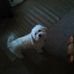 Profile Picture of Kenneth Gunter (@kenneth.gunter.1671) on Facebook