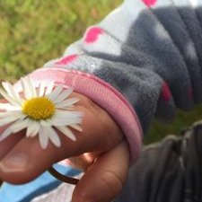 Profile Picture of Kerstin Sannmann (@82be738d6b3d463) on Twitter