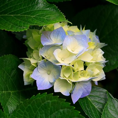 Profile Picture of Chrisceli (@chrisceli3) on Twitter