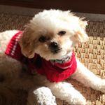 Profile Picture of Mary Clift (@marykat216) on Instagram