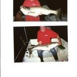 Profile Picture of Robert Blass (@blass.robert) on Instagram