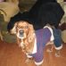 Profile Picture of Jose Calce (@Jose-Calce) on Facebook