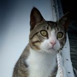 Profile Picture of Shelley Earnest (@shelleye673) on Instagram