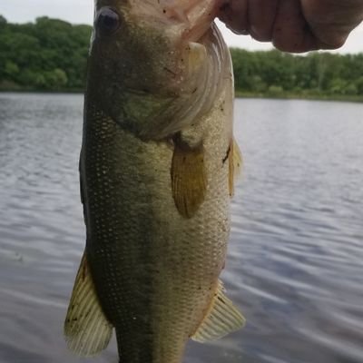 Profile Picture of Jay Goroff (@Jay88M4) on Twitter