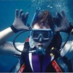 Profile Picture of Phillip Allsopp (@allcoillie) on Instagram