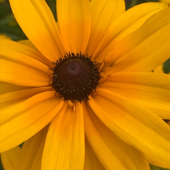 Profile Picture of Miranda Bealko (@mbealko) on Poshmark