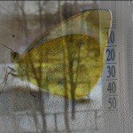 Profile Picture of Hukill (@hukillghyllroy) on Instagram