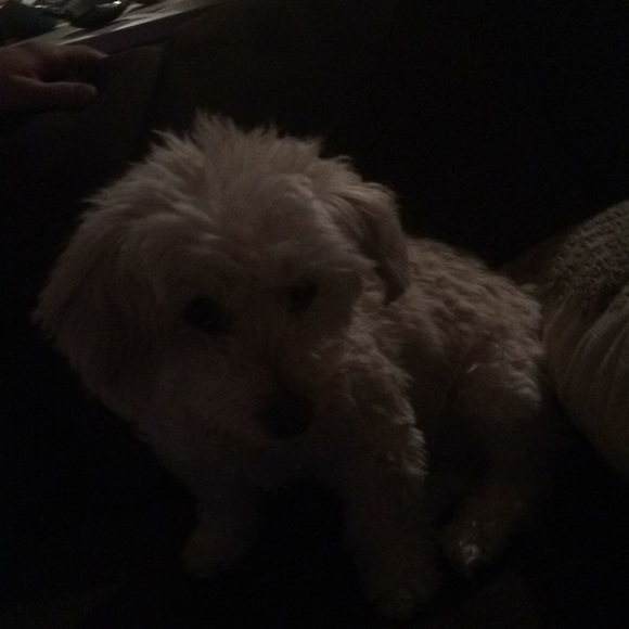 Profile Picture of Frances Wade (@frances_wade) on Poshmark