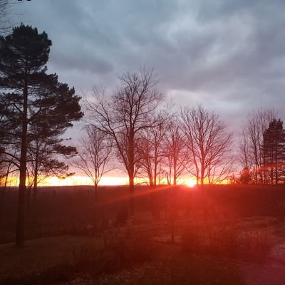 Profile Picture of Tim Dingler (@TimDingler3) on Twitter