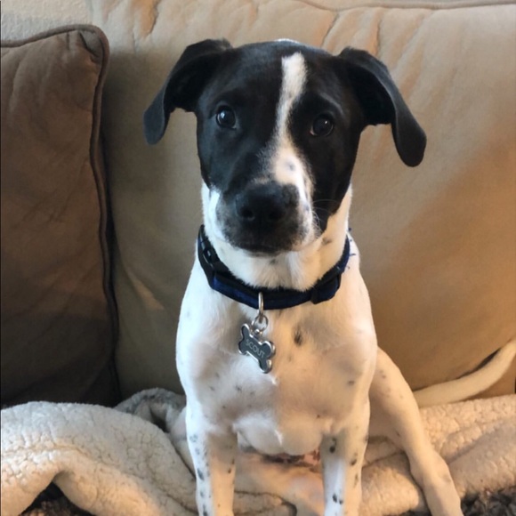 Profile Picture of Denice Raciti (@denice_raciti) on Poshmark