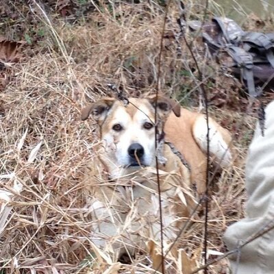 Profile Picture of Corbin Scott Furr (@CorbinFurr) on Twitter
