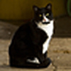 Profile Picture of Marie Hass (@mariehass) on Flickr