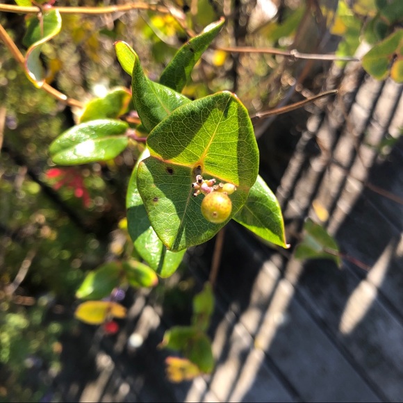 Profile Picture of Carter Schwertle (@carterschwertle) on Poshmark