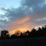 Profile Picture of Barbara Bascombe (@barbarabascombe) on Instagram