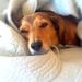 Profile Picture of Donna Prior (@dlp01) on Pinterest