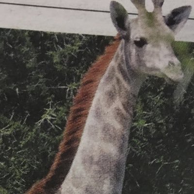 Profile Picture of James Stillwell (@JimmyMStillwell) on Twitter