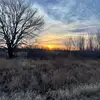 Profile Picture of StephenBrock1212👑🍻 (@stephenbrock1212) on Tiktok