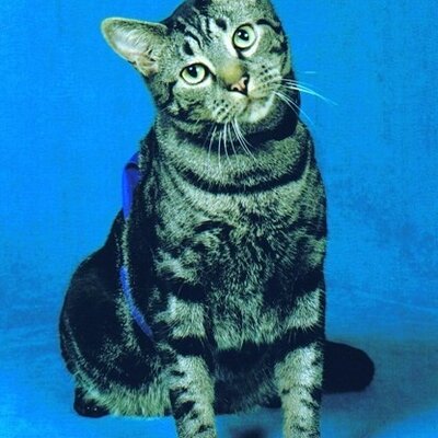 Profile Picture of Jim Tedford (@RadioEnthusiast) on Twitter