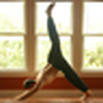 Profile Picture of Andrew Dugas (@thetastate) on Flickr