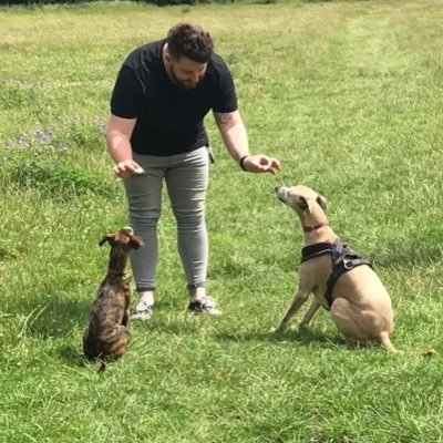 Profile Picture of Joe Mott (@Yesjoemott) on Twitter
