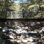 Profile Picture of Peter Kennard (@kennard_pk) on Instagram