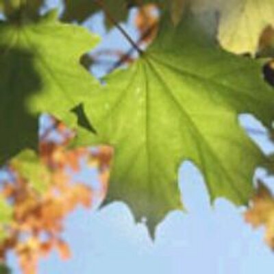 Profile Picture of Robert Pruett (@RobertPruett4) on Twitter