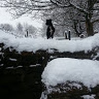 Profile Picture of Stephen Kehoe (@stephen-kehoe-12) on Quora