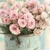 Profile Picture of Amal Saeed (Amal Saeed) (@amal.saeed.509) on Facebook