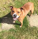 Profile Picture of Raymond Oldham (@raymond.oldham.94) on Facebook