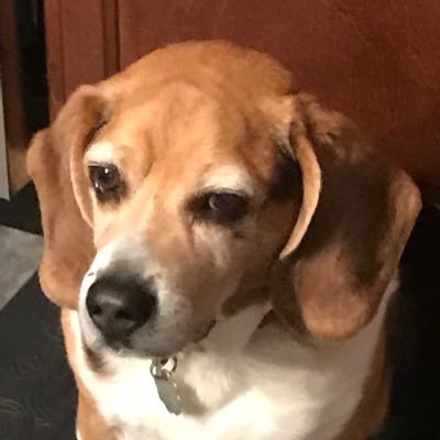 Profile Picture of Clay Alan (@clayalan12) on Twitter