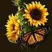 Profile Picture of Luz Marulanda (@luz.marulanda.566) on Facebook