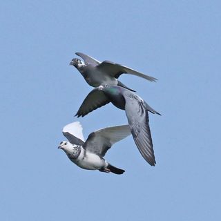 Profile Picture of John Harpestad (@john.harpestad.37) on Facebook