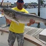 Profile Picture of Mark Patzer (@patzermark) on Instagram