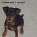 Profile Picture of Bubba Thornton (@bubba.thornton.3) on Facebook