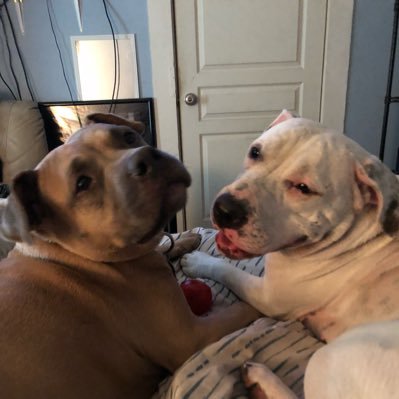 Profile Picture of Jesse Pease (@Sucka4pain) on Twitter