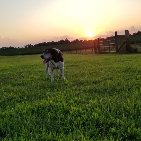 Profile Picture of Klinton Kelley (@onidion_asi) on Poshmark