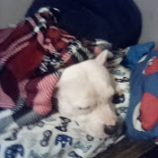 Profile Picture of David Sharp  (@davidsharpgaming604) on Youtube