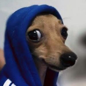 khwayjjhgttccgghyyyy - Tiktok Profile Picture of khwayjjhgttccgghyyyy (@samuelstock72) on Tiktok