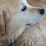 Profile Picture of Lillian Booth (@lillianbooth8068) on Instagram