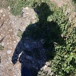 Profile Picture of David Carceller Gil (@donpimpon_a) on Instagram