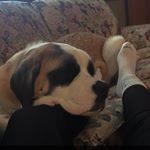 Profile Picture of elise (@eliseconwayy) on Instagram