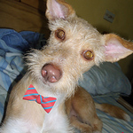 Profile Picture of Ana Lucia Pardo Jimenez (@analuciapardojimenez) on Flickr