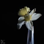 Geoff Griffiths - Instagram Profile Picture of Geoff Griffiths (@geoffiths) on Instagram