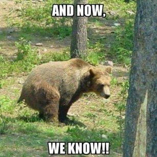 Profile Picture of Tod Sage (@Glibberish) on Twitter