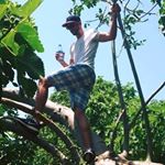 Profile Picture of David Pattison (@davepattlv) on Instagram