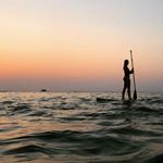 robynbarron - Instagram Profile Picture of robynbarron (@robynbarron) on Instagram